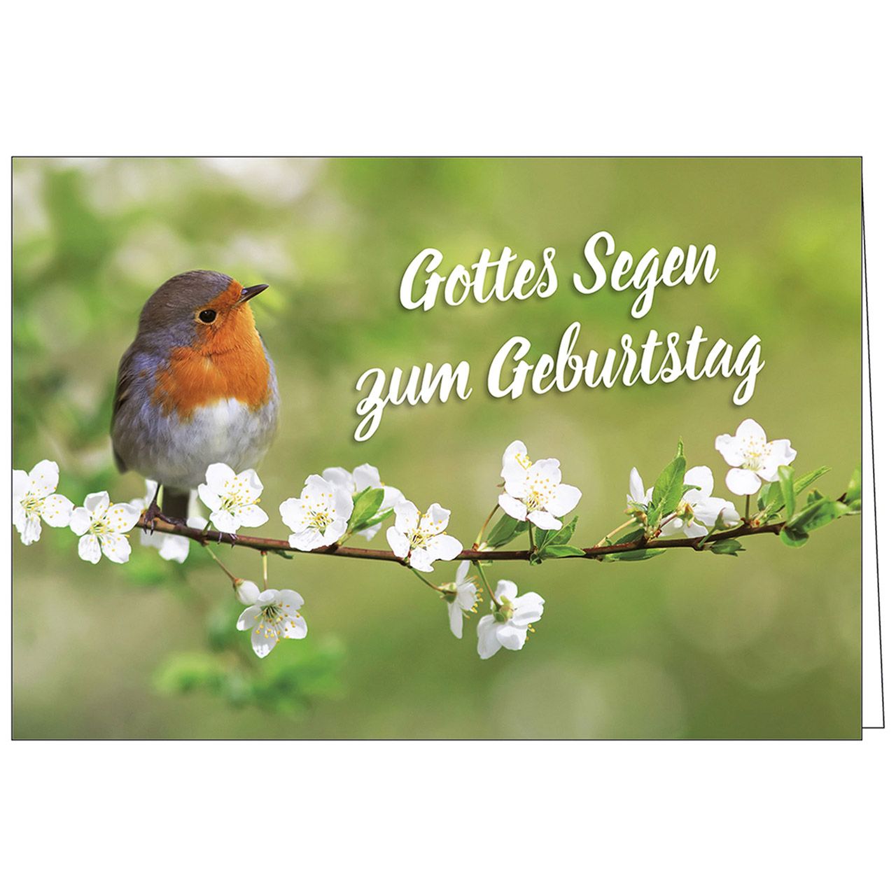 Doppelkarte Gottes Segen Zum Geburtstag RK51575